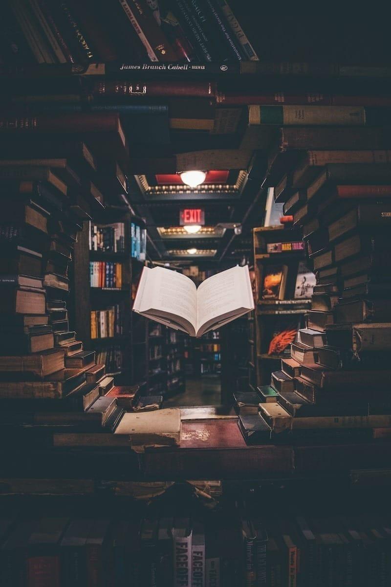 Mobiler Bücherschank